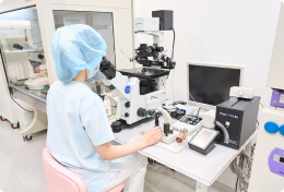 体外受精(IVF)